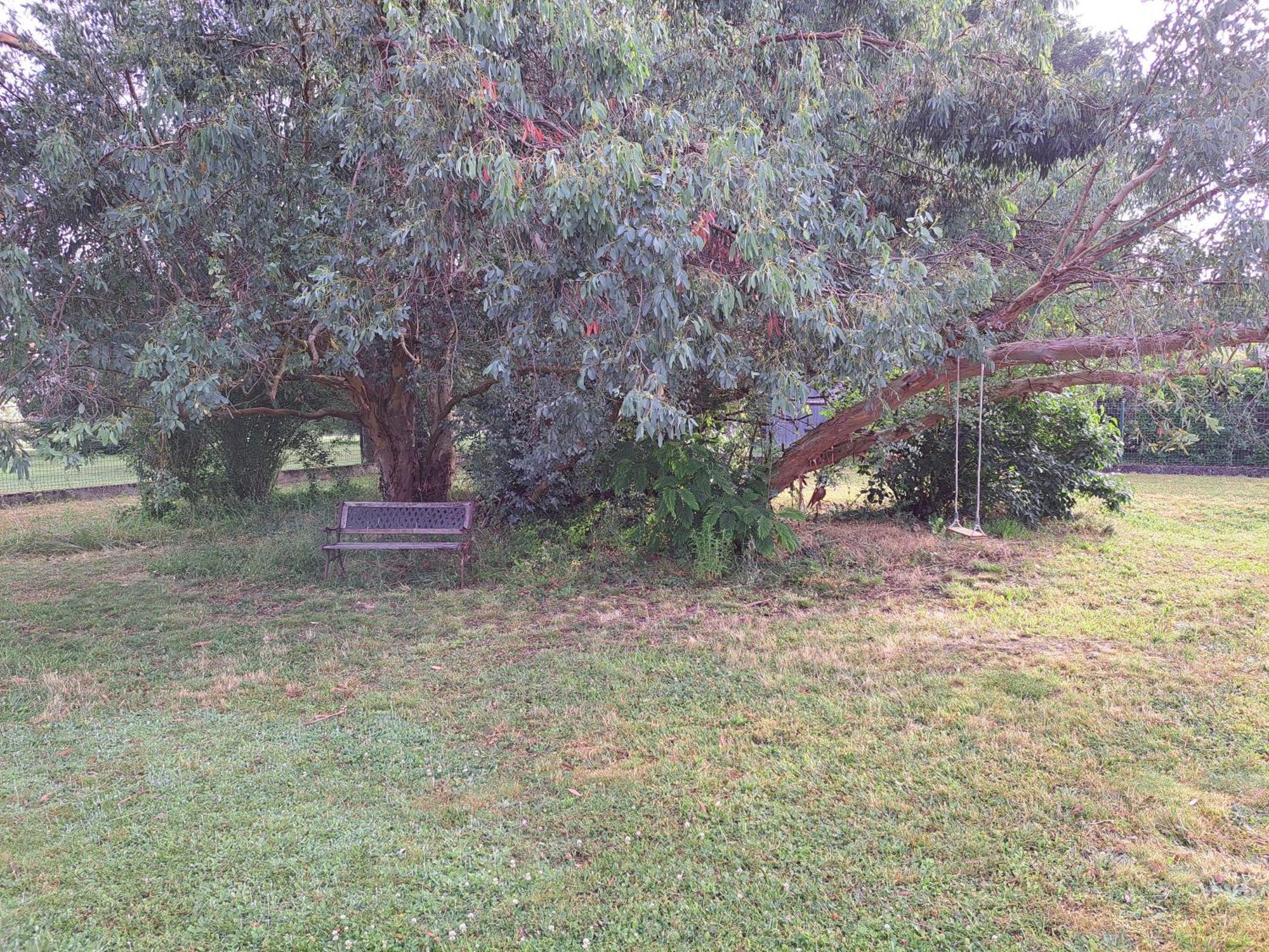 A La Source Villa Saint-Medard-de-Guizieres Exteriör bild